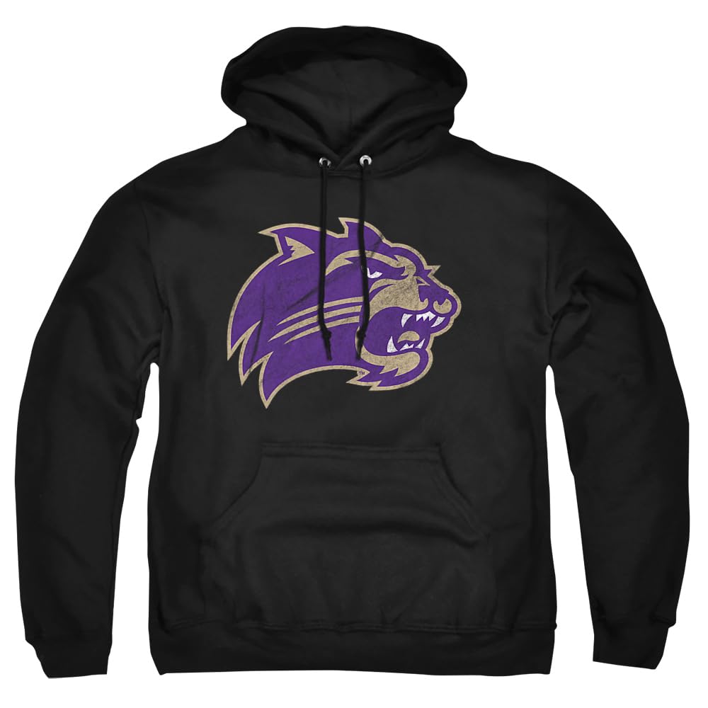 LOGOVISION Official Collegiate Distressed Primary Logo Adult Pullover Hoodie Collection — view 153