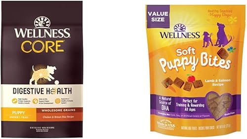 Wellness CORE - Paquete para cachorros de salud digestiva alimento seco para la salud digestiva con granos saludables, bolsa de 24 libras,