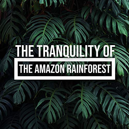 Play The Tranquility of the Amazon Rainforest by Relaxing Music Pro