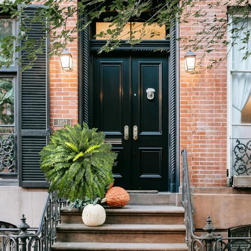 Forestwave Fake Ferns Artificial Plants Large, 51" Faux Boston Fern with Wooden Strips & 66 Fronds, Suitable for Outdoors Indoors Planters Home Porch Entrance Hall Decor, Realistic/UV Resistant — view 3