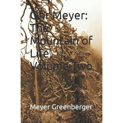 Ohr Meyer
