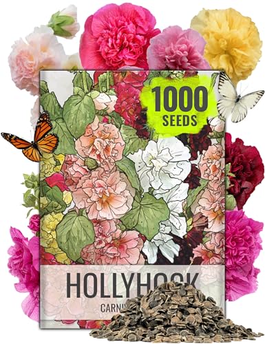 Seed Needs Hollyhock Seeds Carnival Mix 1 000 Seeds Seeds Bulk Pack