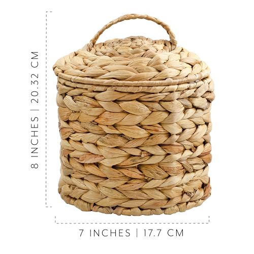AuldHome Design Basket Coffee Filter Holder (Water Hyacinth), Woven Filter Storage Container w/Lid in Rustic Farmhouse Style