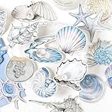 Stunning Seashell Designs – Each postcard is cut into a realistic seashell or conch shape (no boring rectangles!), making them eye-catching keepsakes or decorative wall art. 15 Unique Sizes & Styles – A mix of large, medium, and small shells (like sc...