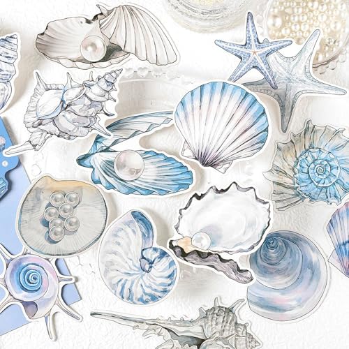 Paper Postcards,Ocean-Themed Seashell Shaped Name Cards,Set of 15 Different Designs