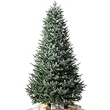 Balsam Hill European Silver Fir - Elegant Artificial Christmas Tree with True Needle Foliage Available Unlit or with LED Clear Lights, Unlit, 5'