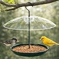 Gtongoko Platform Bird Feeder for Outdoors Hanging with 12” Weatherproof Dome, Squirrel-Resistant Metal Tray, 2 Lbs Seed Capacity, 360° Multi-Bird Feeding, Green