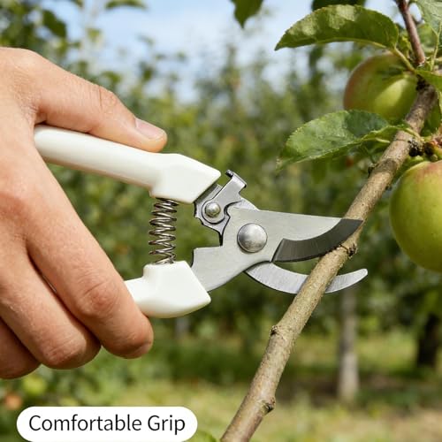 Tijeras de jardinería profesionales de acero inoxidable miniatura 2