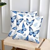 Zoom IMG-1 emyxpaqm butterfly copricuscini blue white Zoom IMG-1 emyxpaqm butterfly copricuscini blue white