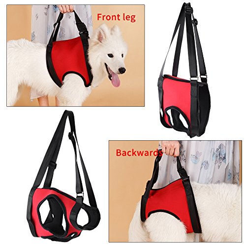 GLOGLOW 2 Arten Front & Rear Dog Support Harness, Wiederverwendbare Gehhilfe Unterstützung Hebe Pulling Vest für Alte & Verletzte Hunde(Hinterbein M)