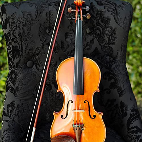 Amazon Music Uptown ViolinsのBond/Winter Amazon.co.jp