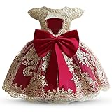 HNXDYY Baby Girl Tutu Dress Princess Lace Embroidery Wedding Party Gown #2006-C Deep Red Size(90) 1-2 Years
