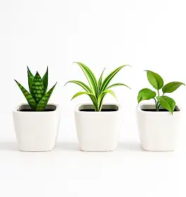Kit 3 Mini Vasos De Cerâmica Preto Ou Branco, Estilo Minimalista, Ideal Para Suculentas, Arranjos E Decoração De Casa Ou Escritório (Branco, 5,0 de Altura)