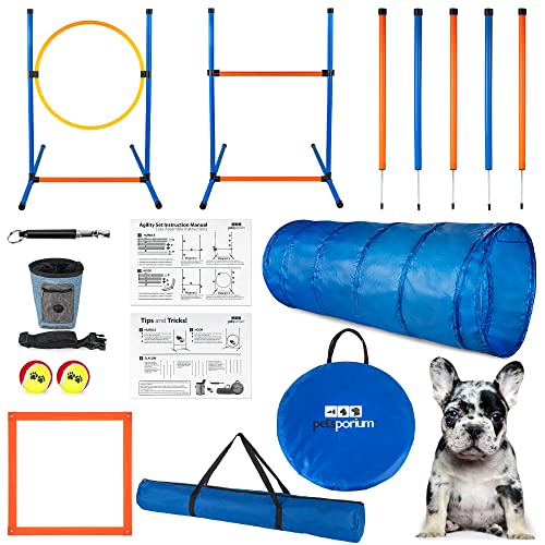 Top 10 Best Dog Agility Equipment In 2022 You Should Buy CCE Review