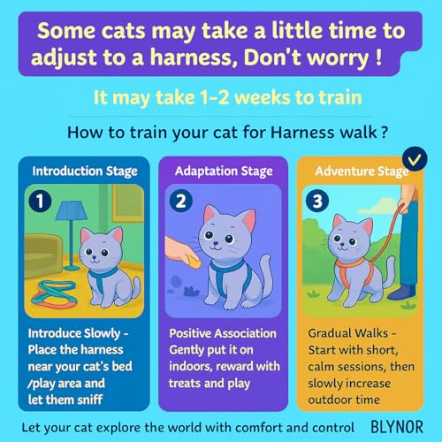Image of No Pull Cat Harness and Leash Set for Walking - Escape Proof, Soft Air Mesh, Adjustable Vest Harness for Kittens, Cats, Puppy - Lightweight & Comfortable (Queen Pink, XS)