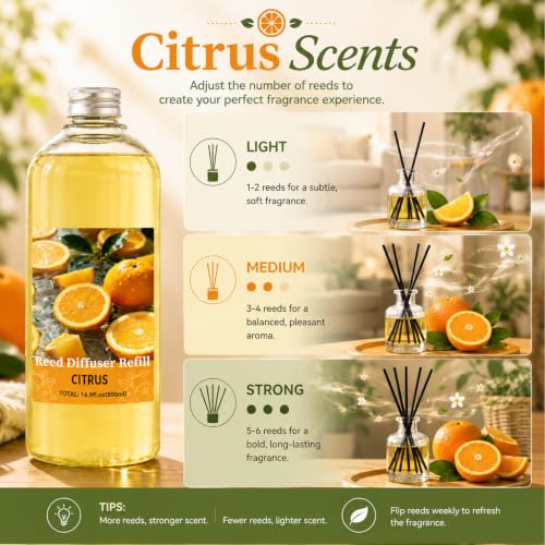 Image of STRN Citrus Reed Diffuser Refill 1000ml with Stick Summer Scent for Home