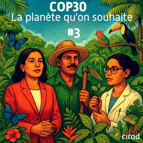 『COP30 | For&ecirc;ts tropicales pour toujours』のカバーアート