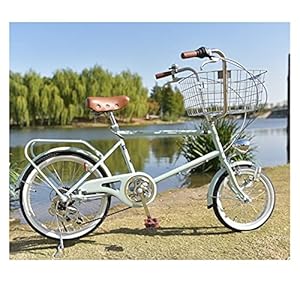 Complete Cruiser-fietsen, Vintage Lady Bike Front 16 en Achter 20 Inch Big Klein Wiel Huisdier Retro Commuter Fiets…
