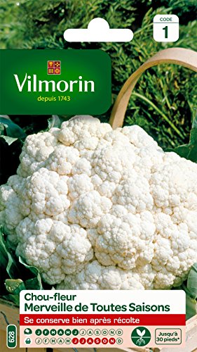 Vilmorin 3353141 Chou Fleur Merveille, Blanc, 90 x 2 x 140 cm