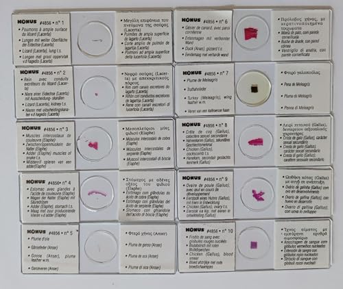 Konus Art 4856 - Lucertole Serpenti Uccelli