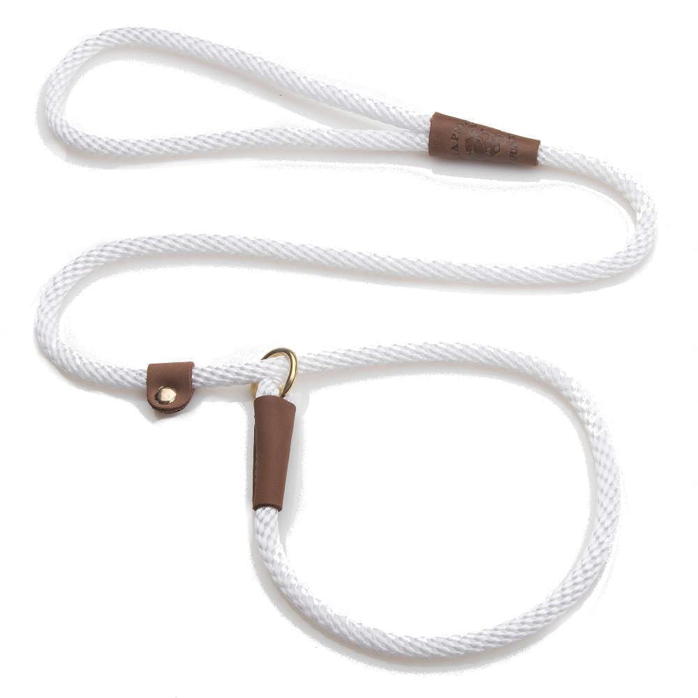 Laisse et collier pour chien Mendota blanc 1,2m pour petite taille