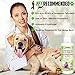 Vet Recommended Ringworm Solution for Dogs (4oz/120ml) - Concentrate Makes Two 16oz Bottles of Spray. Make Your Dog Ringworm Free. Made in USA