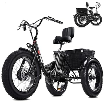 fat wheel folding electric bike