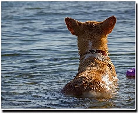 アートパネル キャンバス ファブリック パネル インテリア おしゃれ 長方形 正方形 大きい 額縁 壁紙 ブランド ベッド Dog シャンプー Corgi エサ おもちゃ トイレ 低価格で大人気の 犬 おやつ ペット コーギー ゲージ アートパネル キャンバス ファブリック パネル インテリア おしゃれ 長方形 正方形 大きい 額縁 壁紙 ブランド ベッド Dog シャンプー Corgi エサ おもちゃ トイレ 低価格で大人気の 犬 おやつ ペット コーギー ゲージ