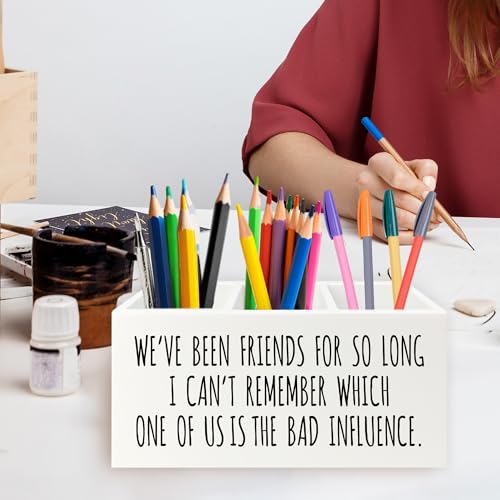 Image of Funny Sarcastic Friendship Pen Pencil Holder Organizer for Desk, Humorous Gifts, We've Been Friends for So Long I Can't Remember Which Wooden Box Signs Decor for Home Office Desk Tabletop
