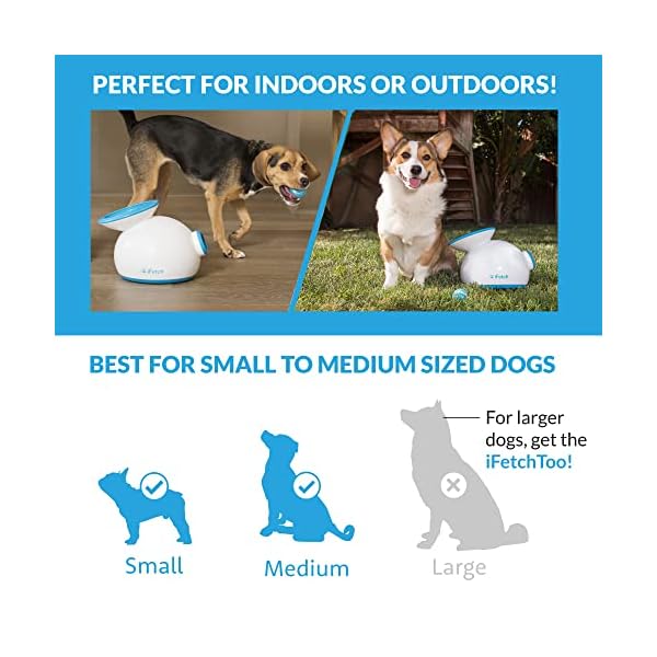 Interactive Ball Launchers for Dogs Buy Online