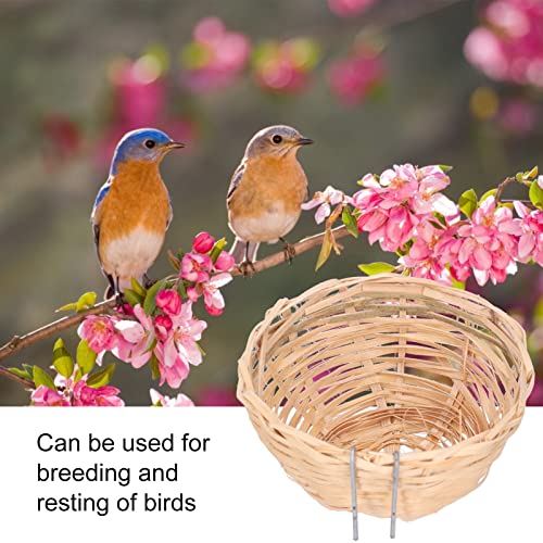 Nid d'oiseau en bambou fait à la main pour petits perroquets, canaris, calopsittes – Fournitures d'oiseaux robustes avec crochet