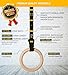 Double Circle Gymnastics Rings with Quick Adjust Numbered Straps and Exercise Videos Guide - Full Body Gym Rings - Calisthenics Rings Wooden Rings 1.25