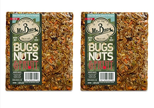 2-Pack of Mr. Bird Bugs, Nuts, Fruit Large Wild Bird Seed Cake 1
