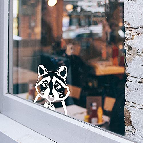 Image of WIRESTER 6 inch Clear Vinyl Decal Sticker Decoration for Car Window (Or Any Flat Surface) - Common Raccoon