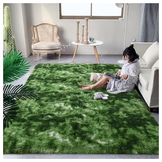 DweIke Fluffy Modern Area Rugs for Living Room Bedroom