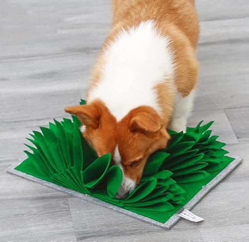 Meelilo Alfombra para olfatear Perros, Juguetes educativos para Perros, Alfombrilla para olfatear Mascotas, Juguete Interactivo para Perros, comedero para Mascotas Cover
