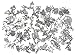 Kinteshun Zoo Animals Charms Alloy Multistyle Sea Creatures Insects Birds Charm Pendant for DIY Jewelry Making Accessaries (50pcs;Silver)
