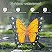 Garden Butterfly Statue Outdoor, Butterfly Figurine with Solar Powered LED Light, Waterproof Lawn Ornaments Statuary Decoration, Welcome Animal Outdoor Decor Light for Patio Balcony Yard (Black)
