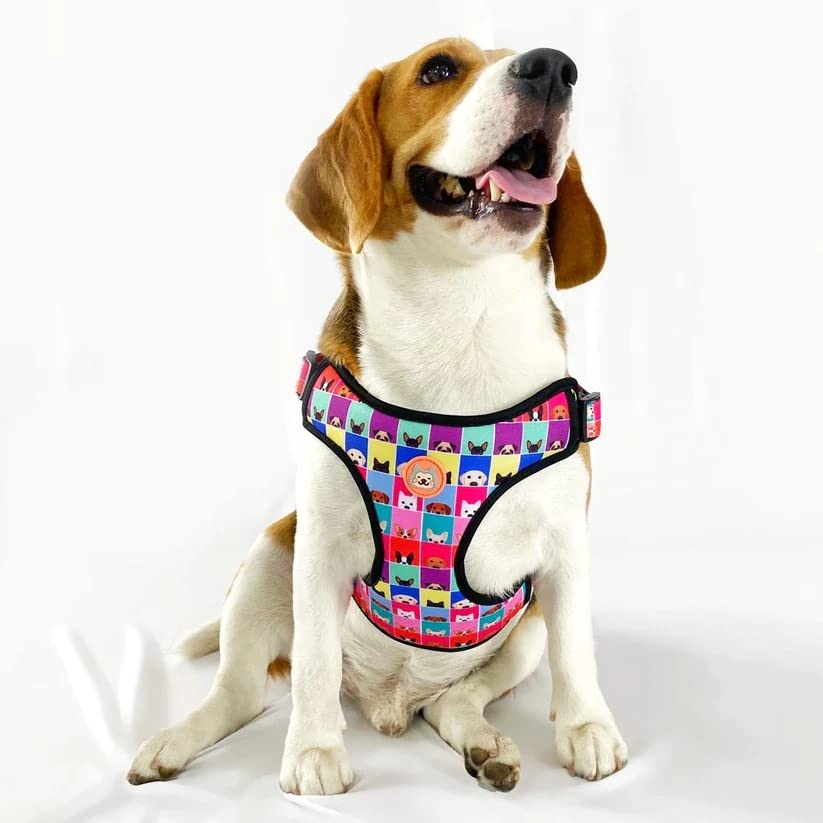 Dog-O-Bow Doggo Print Y-Harness for Dogs (Medium) (B0BT1D2Y4K) Amazon Price History, Amazon Price Tracker