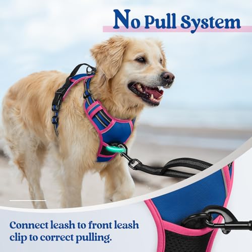 Image of rabbitgoo Dog Harness No Pull with 2 Leash Clips, Adjustable Soft Padded, Reflective Oxford No Choke Pet Vest with Easy Control Handle for Large Dogs, Blue & Hot Pink, M