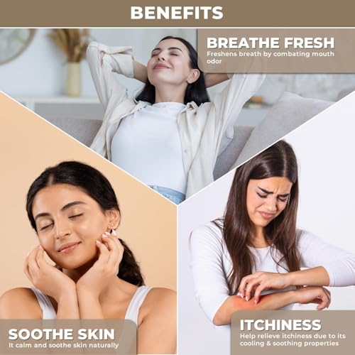 Aceite Esencial de Menta 100% Puro para Aromaterapia miniatura 5