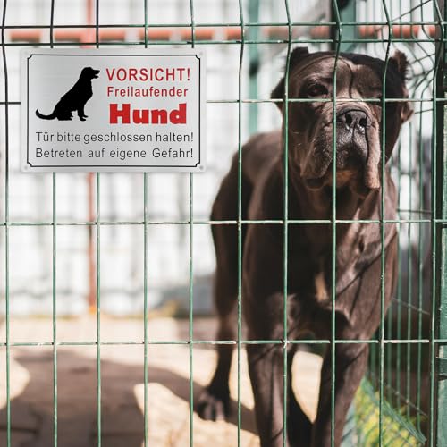 30 × 20cm Vorsicht Hund Schild,Aluminium Warnung Vor Dem Hund Schilder Achtung Hund Schild Löchern Warnschild Hund Hundeschilder Warnung mit Selbstklebend und 4 Vorgebohrten