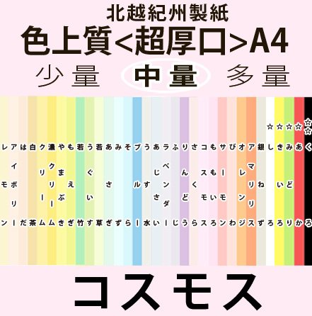 kzIBF㎿A4ځ[RXX](100)