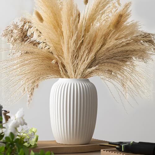 Minimalist Ceramic Vase