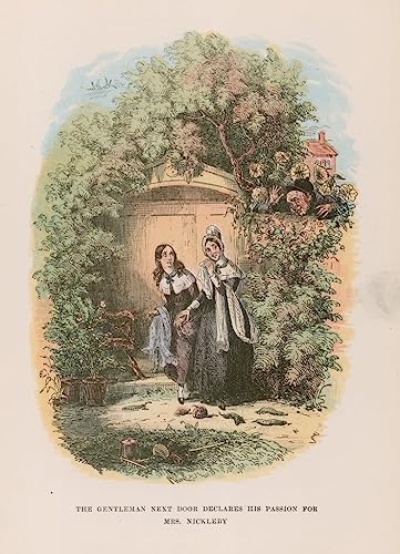 Posters et art pour décoration chambre tableau vintage Nicholas Nickle illustration 60x90cm