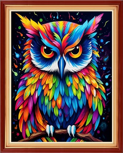 Image of Foxdiviy Stamped Cross Stitch Kits for Beginners Full Range of Cross Stitching 11 CT Printed Cross Stitch Kits for Adults Cross Stitch Patterns Needlepoint Kits-Colorful Owl 16x20 inch