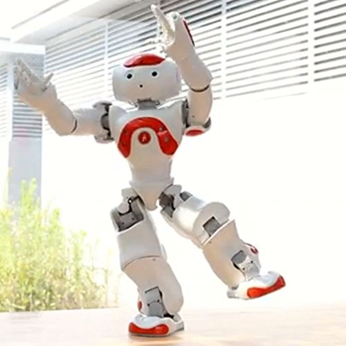 nao robot price amazon