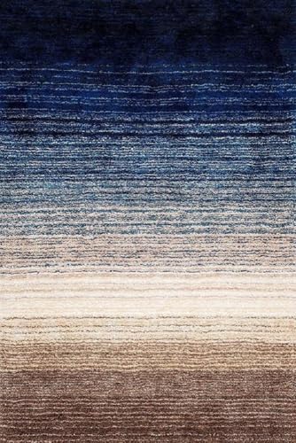 Image of Carpet for Living Room 5X7 FEET Modern Soft Shaggy Carpet Thick, Fluffy & 2 inch Pile Shag Rug for Your Kids Room, Bedroom & Livingroom (Blue Mixture)
