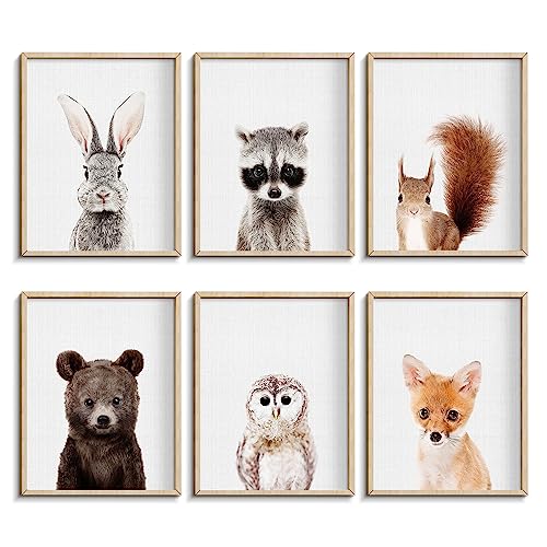 Image of Jungle Safari Decor - Cute Animal Wall Art, Baby Bedroom Decor (8"x10", UNFRAMED) (Forest)