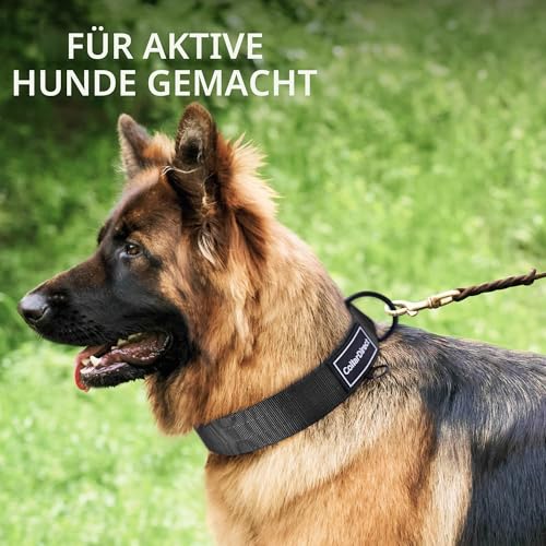 Robustes Hundehalsband für Große & Mittelgroße Hunde – Verstellbar, Doppellagiges Nylon, Metallschnalle, Reißfest & Ideal für Aktive Hunde (Schwarz, Klein (28-38 cm))